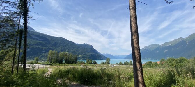 Neu am Brienzersee: Kurse zu Achtsamkeit – Mindfulness